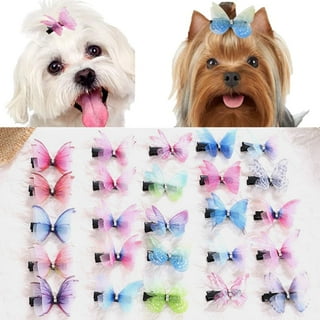 Maltese Hair Clips