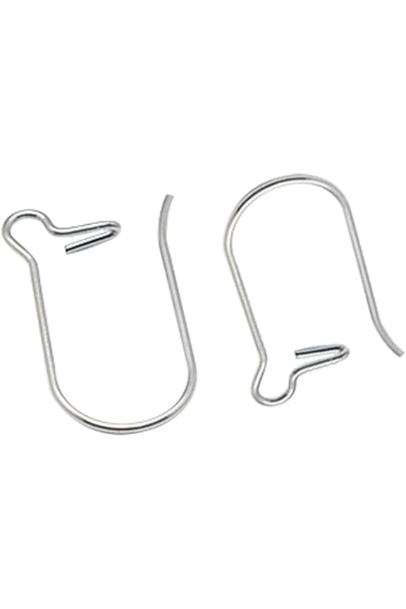 20Pcs Stainless Steel Hoop Earrings Components Kidney Ear Wires for Jewelry Making