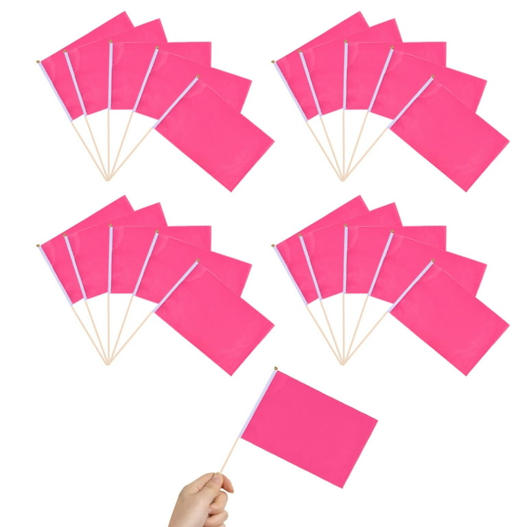 Small 2025 triangle flags