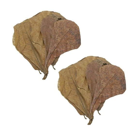 20Pcs Water Quality Purification Tablet Catappa Leaves For Aquariums Almond Leaves For Fish Almond Leaves For Catappa The Leaves Of The Almond Catappa Tank Create An Environment