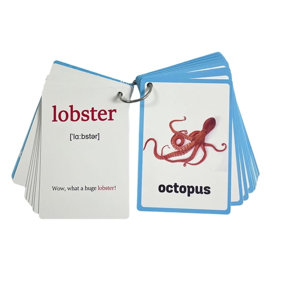 20Sheet Sea Creature Flashcards 11cmx8cm Marine Animal Teaching Word Cards For Kindergarten Classroom Homeschooling