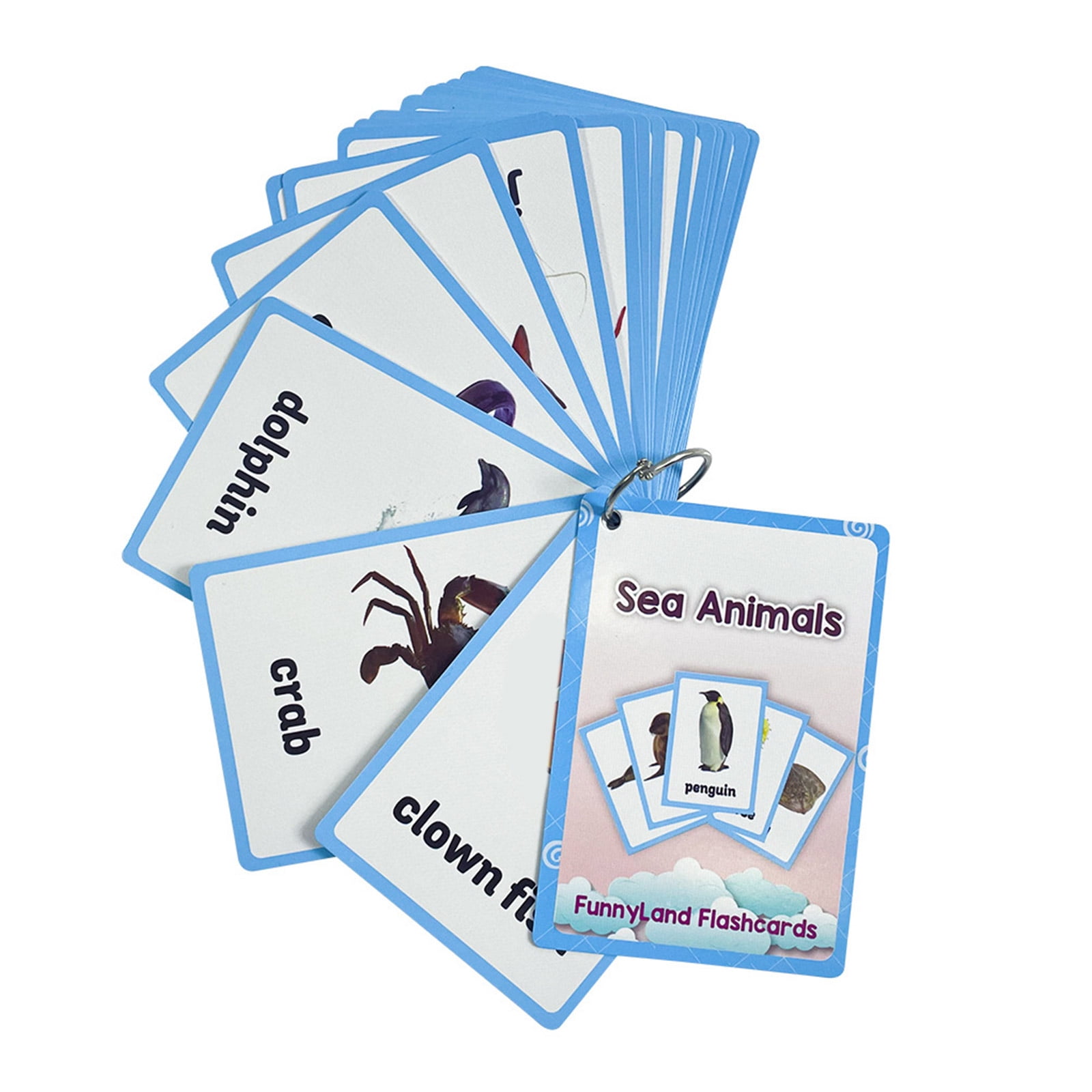 20Sheet Sea Creature Flashcards 11cmx8cm Marine Teaching Word Cards For ...