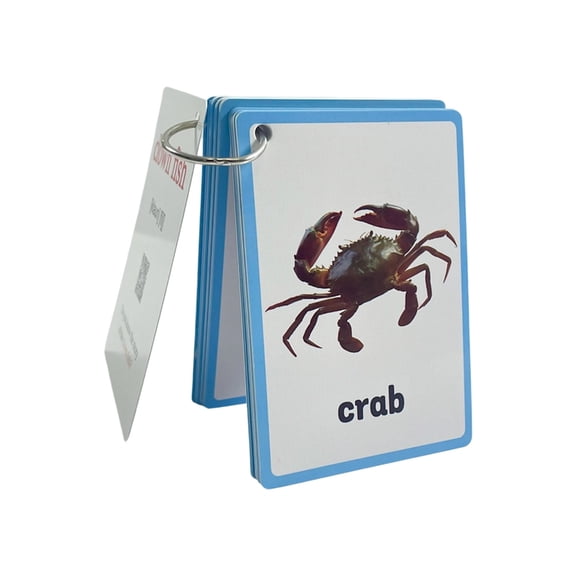 20Sheet Sea Creature Study Cards Marine Flashcards For Kindergarten