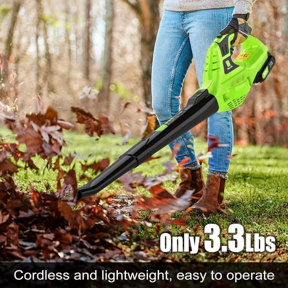 20V Cordless Leaf Blower with 2.0Ah Battery & Charger - 2-Speed (150/90 MPH) Lightweight Electric Blower, 30-Min Runtime, Durable Plastic, Comfort Grip - Ideal for Lawn, Patio, Yard Outdoor Gardening