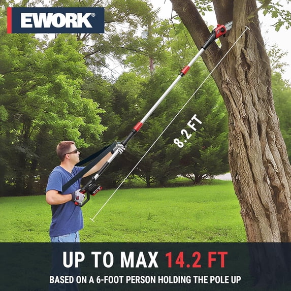 20V Cordless Pole Saw with 8-Inch Bar - Auto Oiling Electric Tree Trimmer for Pruning
