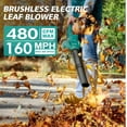 thumbnail image 1 of 20V Leaf Blower Cordless, Electric Leaf Blowers with 2X 2.0Ah Battery and Charger, 480 CFM 160 MPH Battery Powered Leaf Blower, Handheld Lightweight Blower for Lawn, , Sidewalk Cleaning, 1 of 7