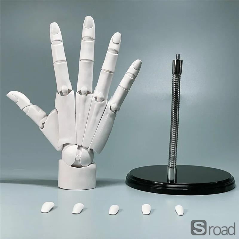 20cm (8 Inches) Poseable Articulated Hand Model， Realistic Skeleton ...