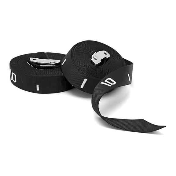 20ft Adjustable Gymnastic Rings Strap (Pair) / Cam Buckle Adjustment/Upper Body Ring Training Bxrc