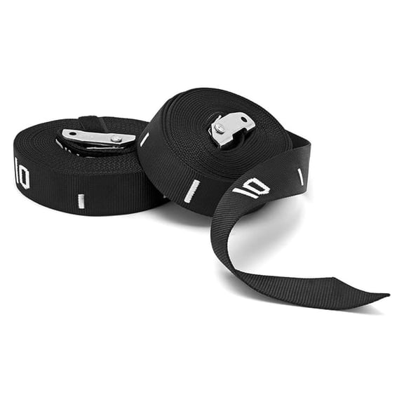 20ft Adjustable Gymnastic Rings Strap (Pair) / Cam Buckle Adjustment/Upper Body Ring Training