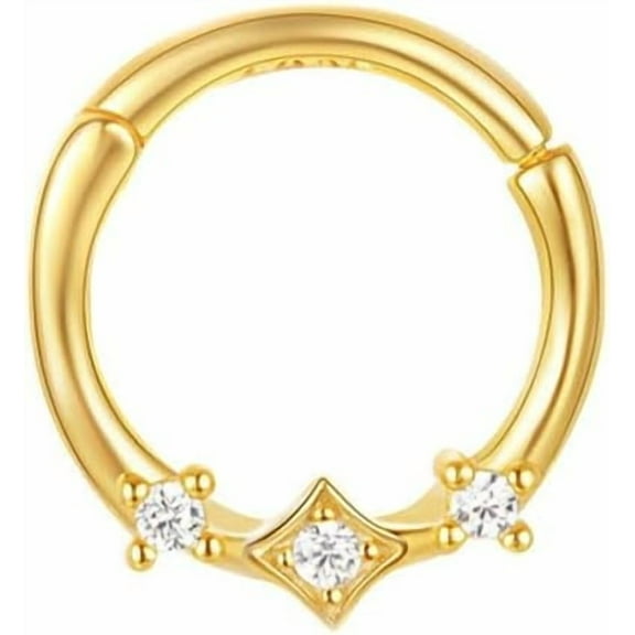 20g CZ Nose Ring Hoop Hinged Clicker Segment Ring Cartilage Earring Conch Piercing Body Piercing Nose Hoop Lip Ring Septum Jewelry