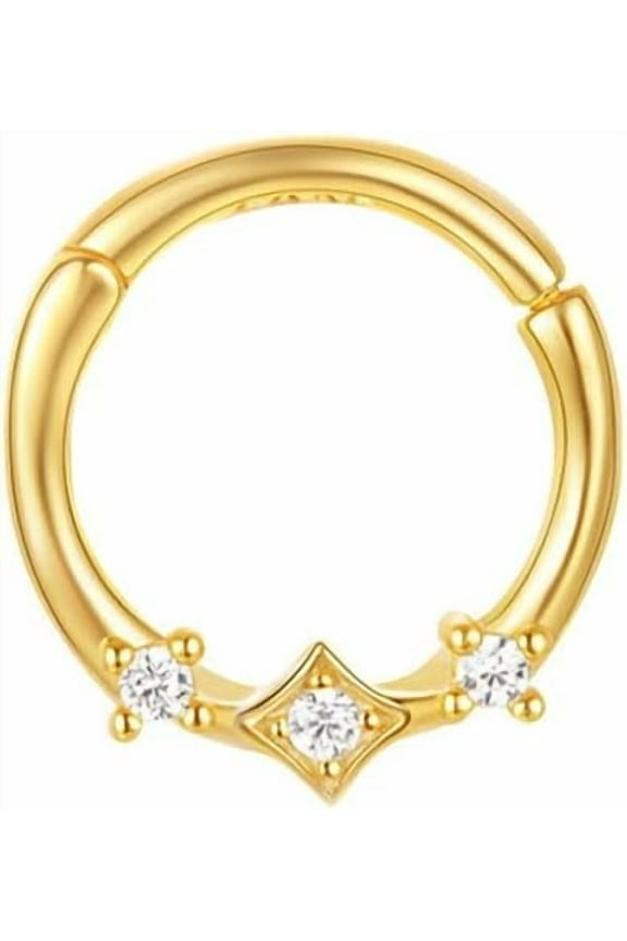 20g CZ Nose Ring Hoop Hinged Clicker Segment Ring Cartilage Earring Conch Piercing Body Piercing Nose Hoop Lip Ring Septum Jewelry