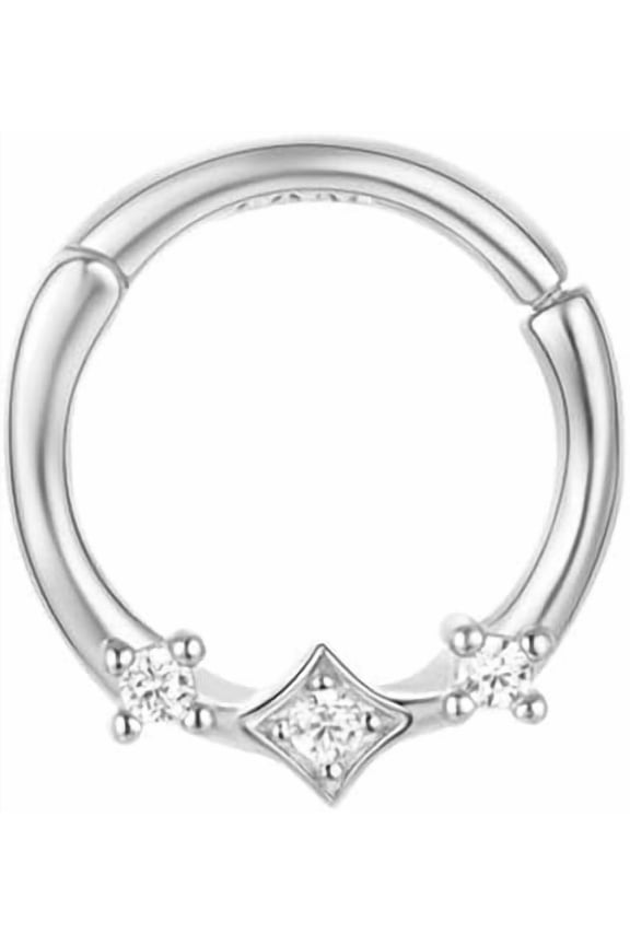 20g CZ Nose Ring Hoop Hinged Clicker Segment Ring Cartilage Earring Conch Piercing Body Piercing Nose Hoop Lip Ring Septum Jewelry