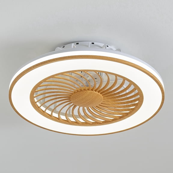 20in Caged Ceiling Fans Lights,Low Profile Enclosed RGB Lamp with APP Control,True Wood Color