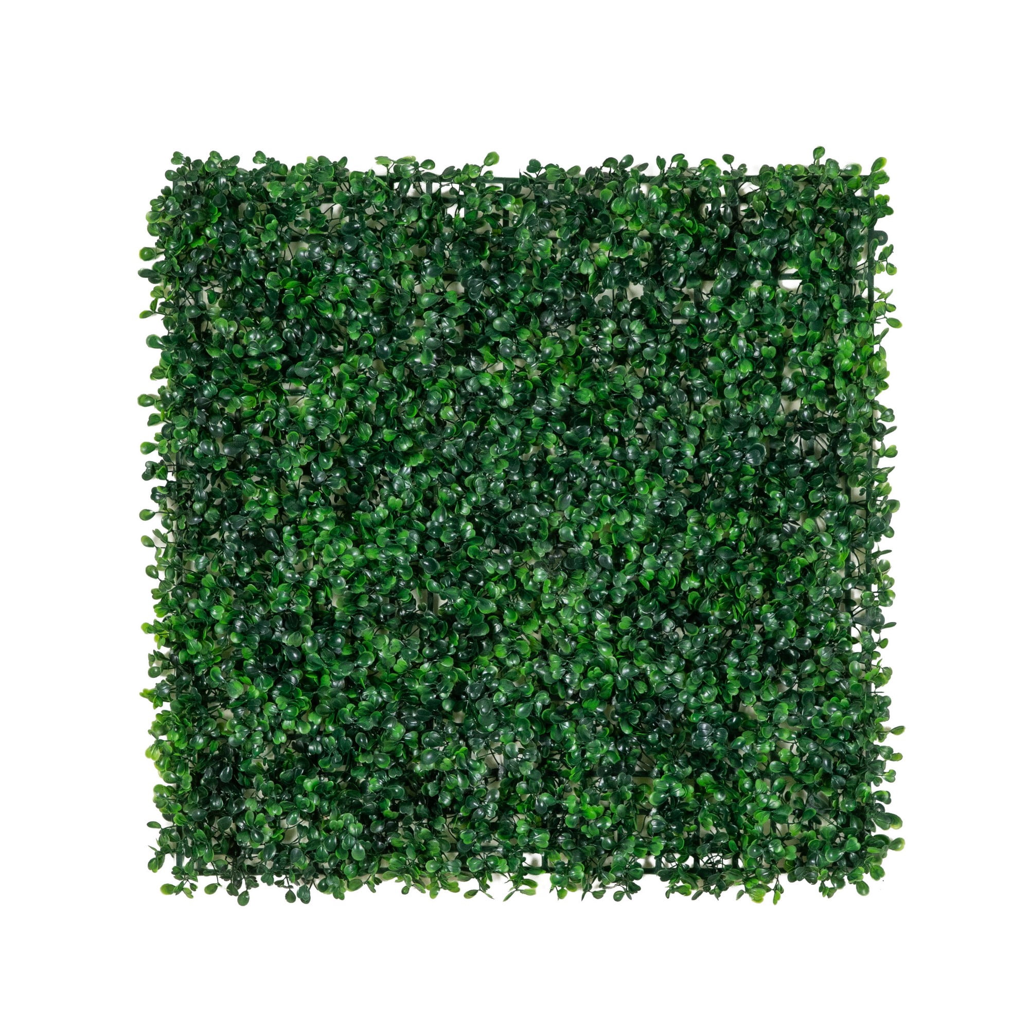 20in. x 20in. Artificial Boxwood Mat Wall Panel - Set of 12