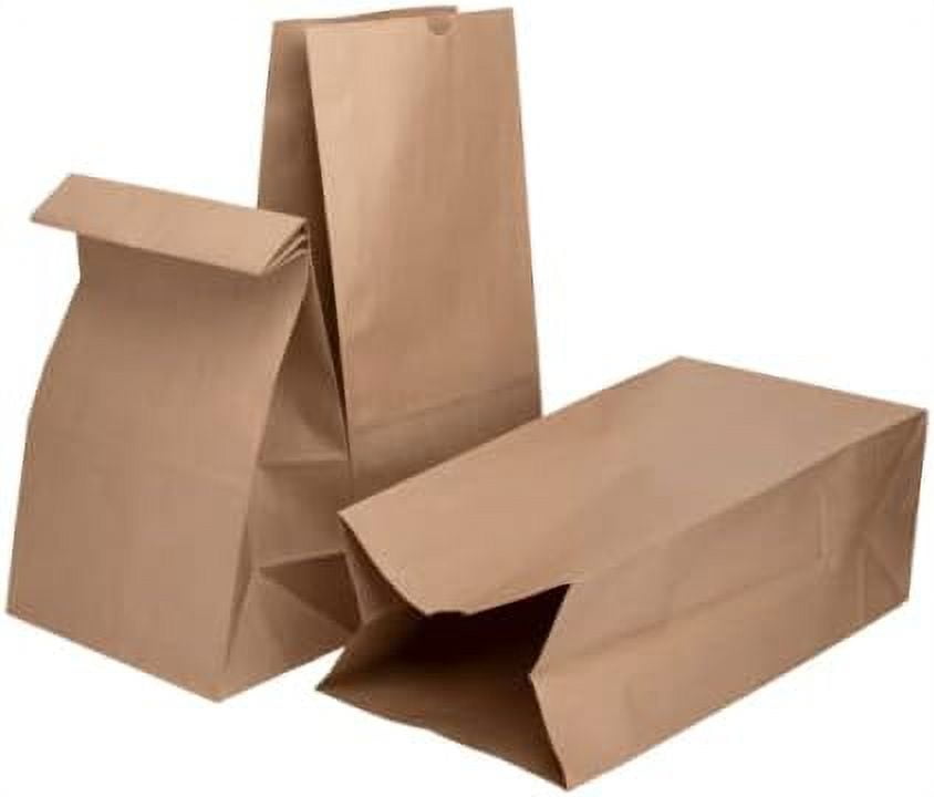 20lb Paper Lunch Bags - Kraft, 500 Count - Versatile Paper Lunch Bags for Food or Commodities - Sturdy, Self-Standing, Reusable