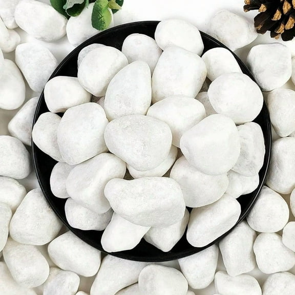 20lb White River Rocks For Landscaping 12 Inch Natural Pebbles For Indoor Plants  Decorative Stones Ideal For Fish Tank Vases Crafting Home Decor And Garden Rocks
