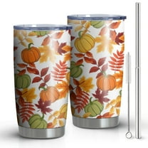 20oz Tumblers Fall Pumpkins Leaves Pattern Stainless Steel Vacuum Insulated Double Wall Travel Tumbler Cups Mug with Lid and Straw,Cleaning Brush for Cold & Hot Drinks