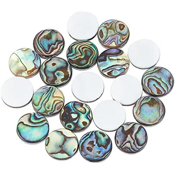 20pcs 12mm Natural Abalone Shell Cabochons Abalone Shell Flat Coin Beads Paua Shell Cabochons