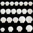 thumbnail image 1 of 20pcs 2.4-4.2 Inch Large Scallop Shells 4 Sizes Natural Scallop White Craft Seashells Ocean Beach Shells for Decorating DIY Painting Mermaid Beach Party Wedding Home Decor for DIY, 1 of 8
