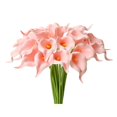 thumbnail image 1 of 20pcs Bright Pink Flowers Artificial Calla Lily Silk Fake Flowers 13.4" for Mother's Day Easter Home Kitchen & Wedding, 1 of 8