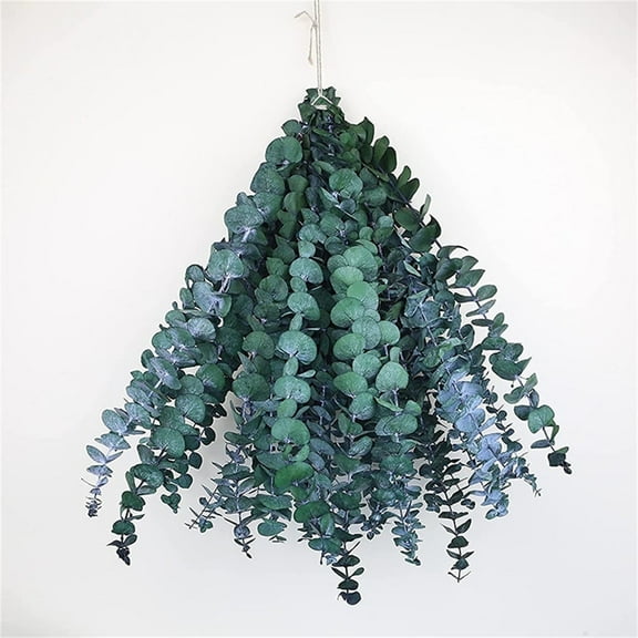Artrylin 20pcs Dried Eucalyptus for Shower,Dried Eucalyptus Bundle, Eucalyptus Stems,17 '' Preserved Eucalyptus Leaves & Aromatic for Shower,Home Wedding Decor