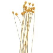 20pcs Flower Reed Diffuser Stick Diffuser Refills Essential Oil Diffuser Stick for SPA