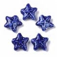 thumbnail image 1 of 20pcs Handmade Porcelain Beads Fancy Glazed Porcelain Starfish/Sea Stars Ceramic Beads Medium Blue 19~20x20.5~22.5x7.5~8.5mm Hole: 2mm, 1 of 2