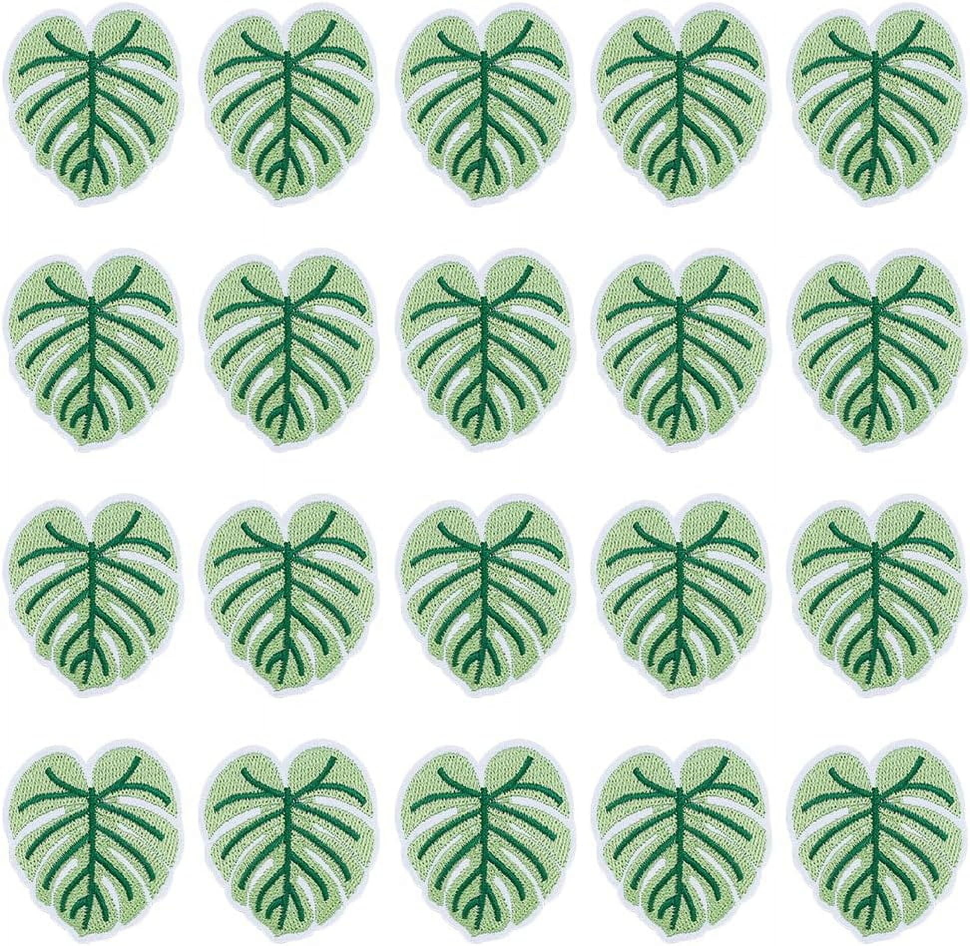 spathiphyllum plant 10p! Spathiphyllum/Peace Lily /Tropical