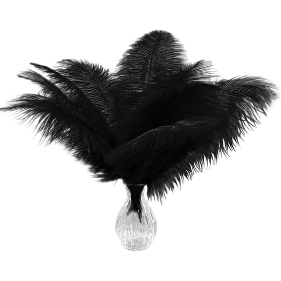 20pcs Natural Black Ostrich Feathers 10-12 inch (25-30cm) Bulk Feathers for Home Decoration and DIY Clothes Decoration, Gatsby Decorations