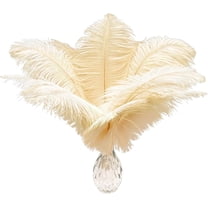 20pcs Natural Champange Ostrich Feathers 10-12 inch (25-30cm) Bulk Feathers for Wedding Party Centerpieces, Home Decoration and DIY Clothing, Gatsby Decorations