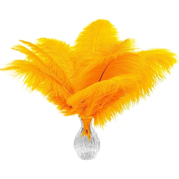 20pcs Natural Gold Ostrich Feathers 10-12 inch (25-30cm) Bulk Feathers for Home Decoration and DIY Clothing and DIY Clothes Decoration, Gatsby Decorations
