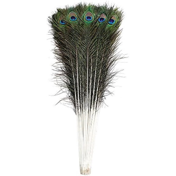 20pcs Natural Long Peacock Feathers 35-40 inch for DIY Craft, Party, Wedding Christmas Decoration and Floral Arrangement