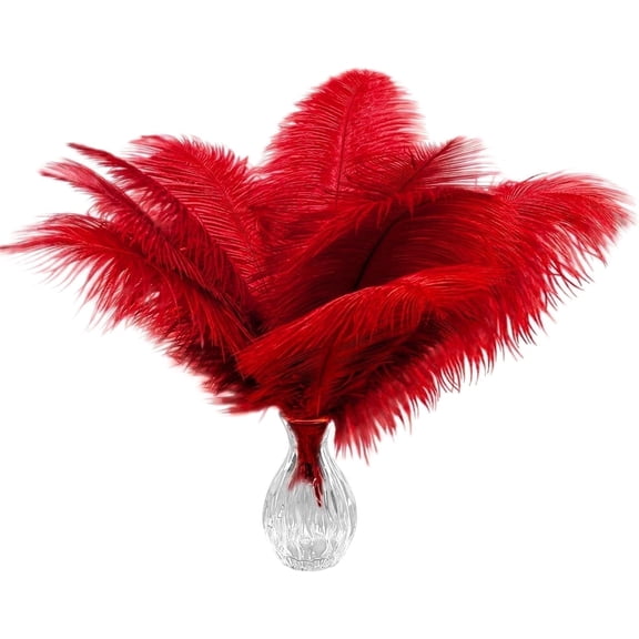 20pcs Natural Red Ostrich Feathers 10-12 inch (25-30cm) Bulk Feathers for Wedding Party Centerpieces, Home Decoration and DIY Clothing, Gatsby Decorations