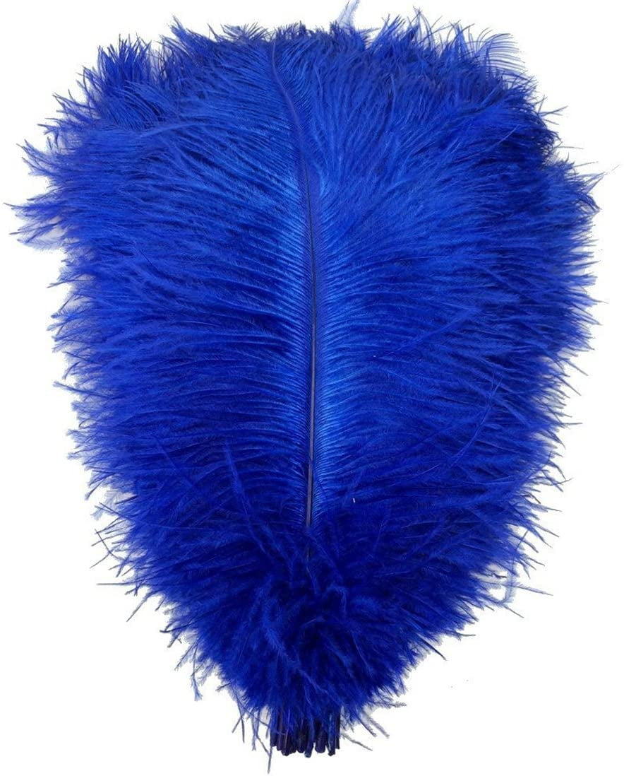 20pcs Ostrich Feathers, 6-7.9 inch 15-23cm Real Natural Ostrich 