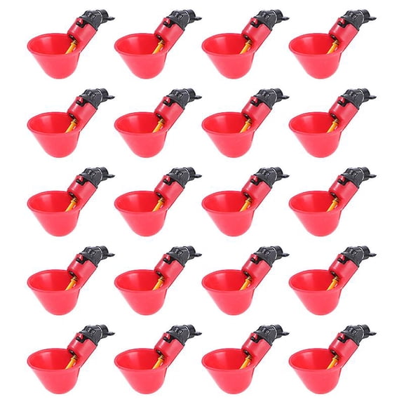 20pcs Quail Drinker