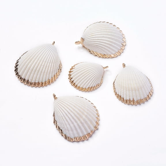 20pcs Shell Pendants with Iron Findinggs Shell Light golden 36~48x29~38x12~15mm Hole: 2~2.5mm