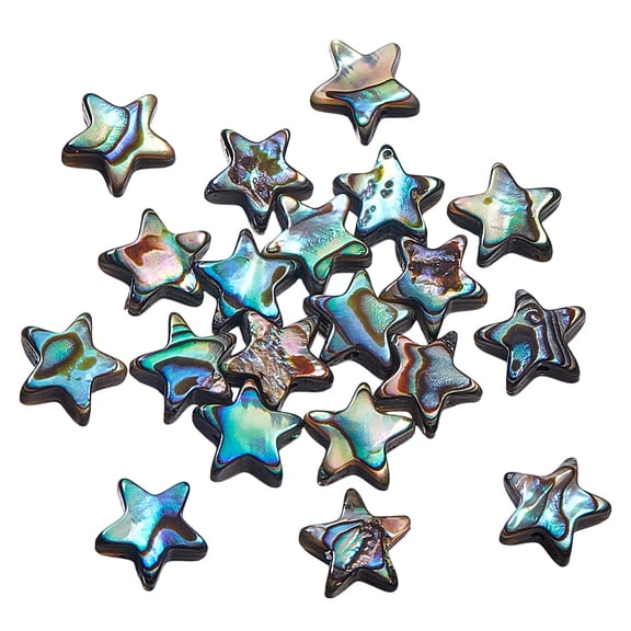 20pcs Star Beads Abalone Shell Beads Natural Abalone Flat Loose Bead with Transparent Plastic Bead Containers for Summer Gift Ocean-Style Decoration Earring Bracelet Necklace Jewelry Making DIY
