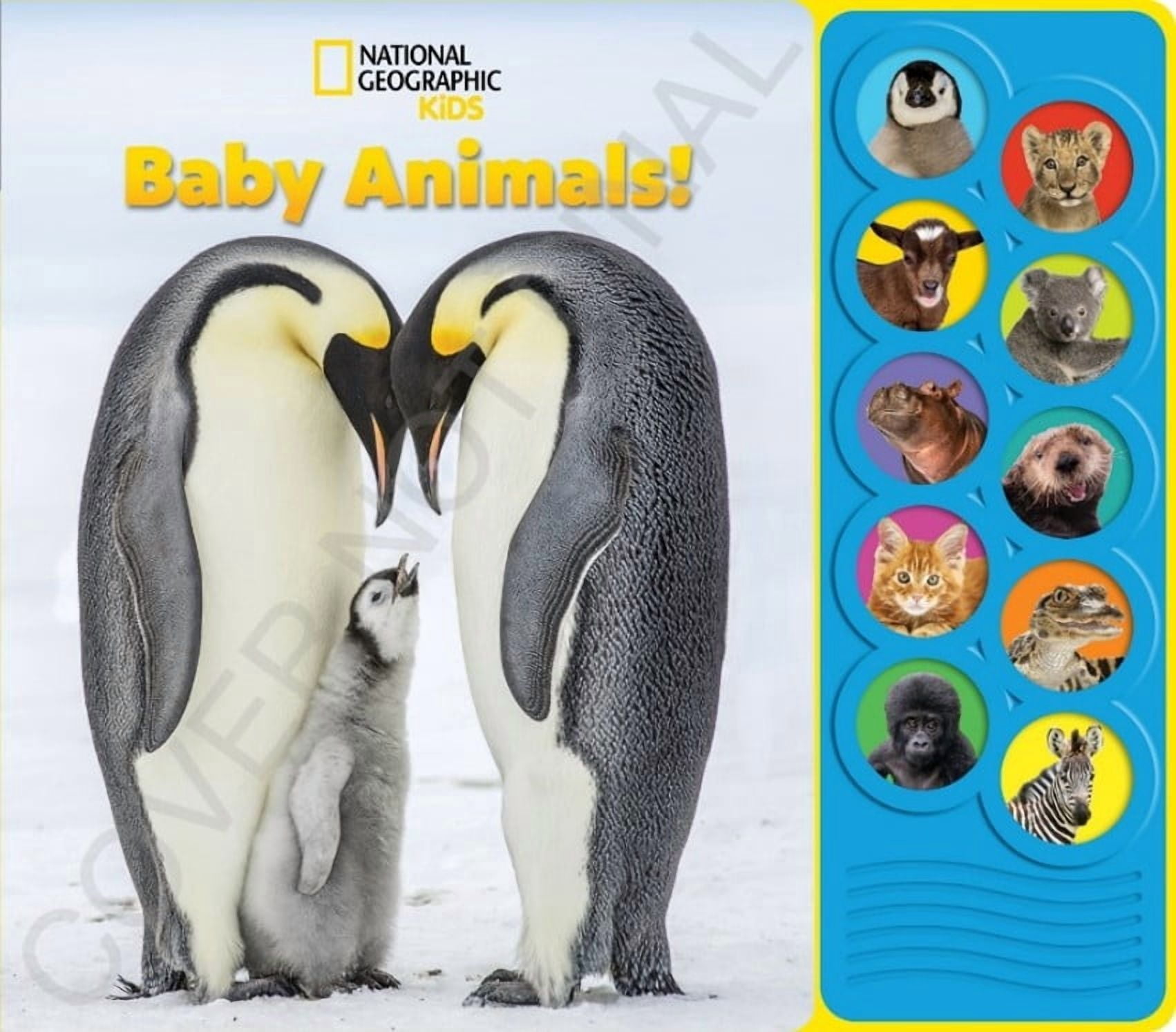National Geographic Kids: Baby Animals! Sound Book (Board Book)