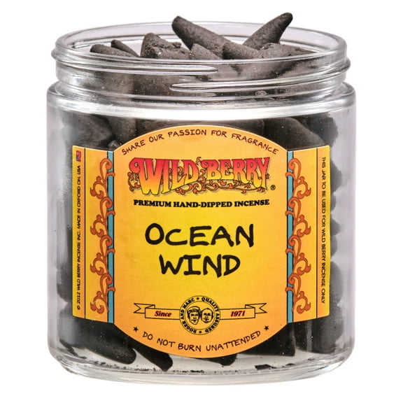 20x Wild Berry Incense Cones - Ocean Wind - USA Made 1" Tall