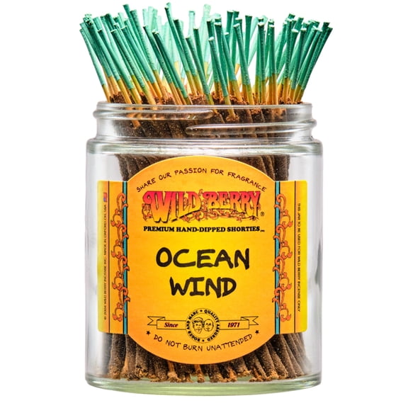 20x Wild Berry Shorties 4" Incense Sticks - Ocean Wind - USA Made Hand Dipped Wildberry