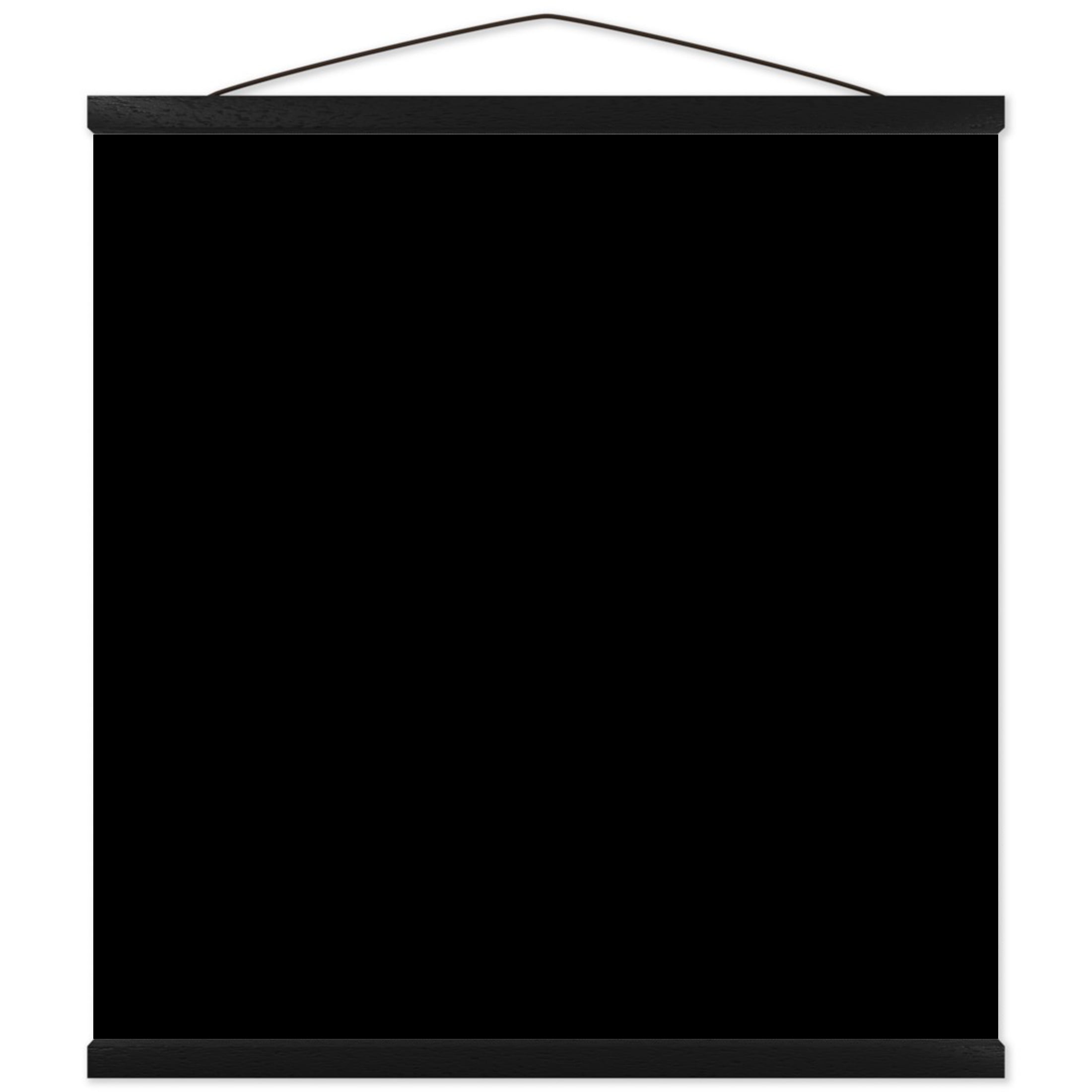 20x20 Hanging Canvas