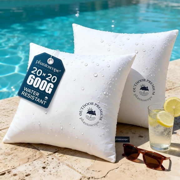 20x20 Inch Outdoor Pillow Inserts Pack of 2 Waterproof Down Alternative Throw Pillows with Webbing