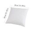 thumbnail image 1 of Throw Pillow Insert 400g, 19x19 Inch Square Cushion Core, Fluffy Polyester Filler, Breathable Washable Interior Pad, for Sofa Bed Chair Indoor Home Decor, 1 of 6