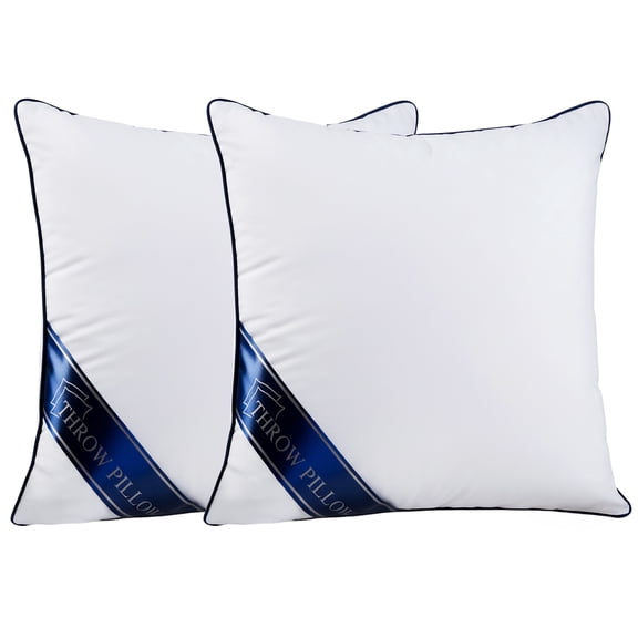 20x20 Throw Pillow Inserts 2 Pack, Square Decorative Pillow Inserts with Zipper for Bed, Couch, White