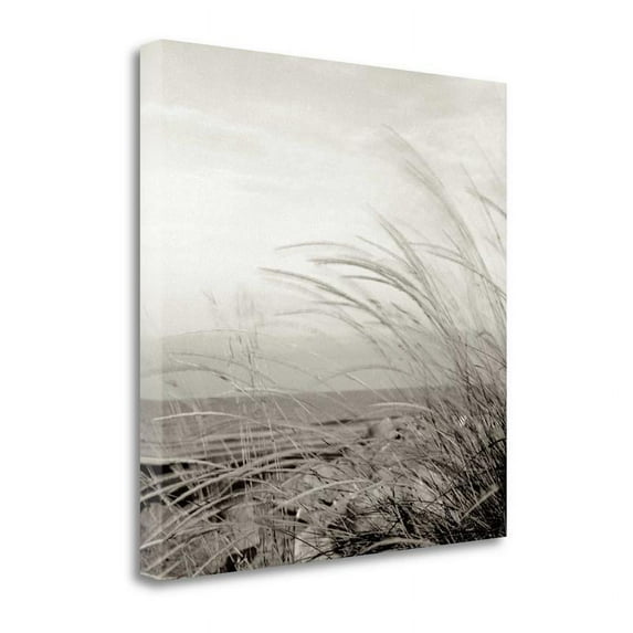 20x20 Tuscan Coast Dunes - 1 By Alan Blaustein - Print Canvas Fabric Multi-Color