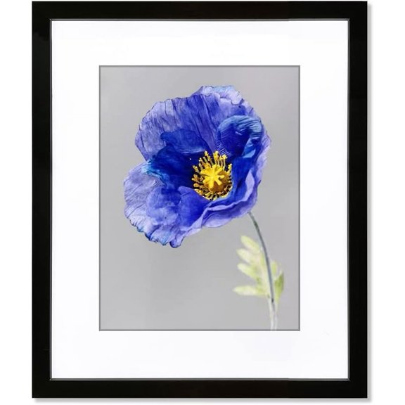 20x24 Frame Black, Perfect for 20x24 Inch Picture without Mat or 16x20 Inch Picture with Mat, Home Wall Decor Picture Frame-1 PCS