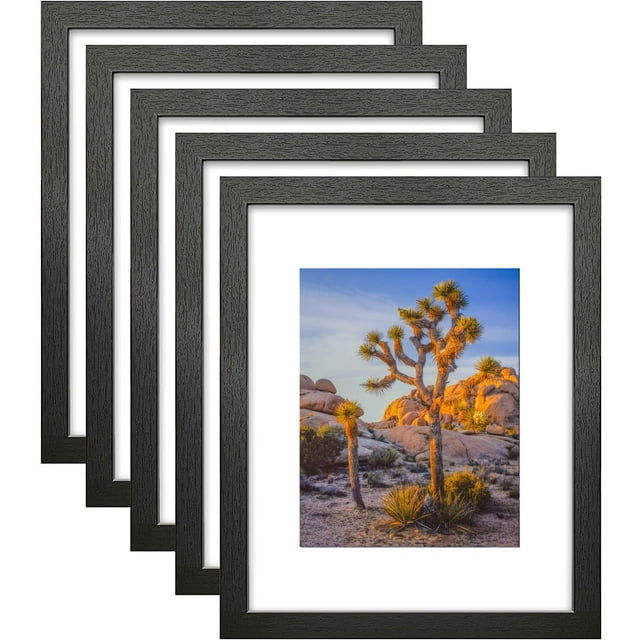 20x24 Picture Frame in Black with Polished Plexiglass Horizontal and