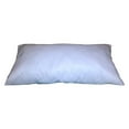thumbnail image 1 of 20x40 Inch Rectangular Throw Pillow Insert Form, 1 of 2