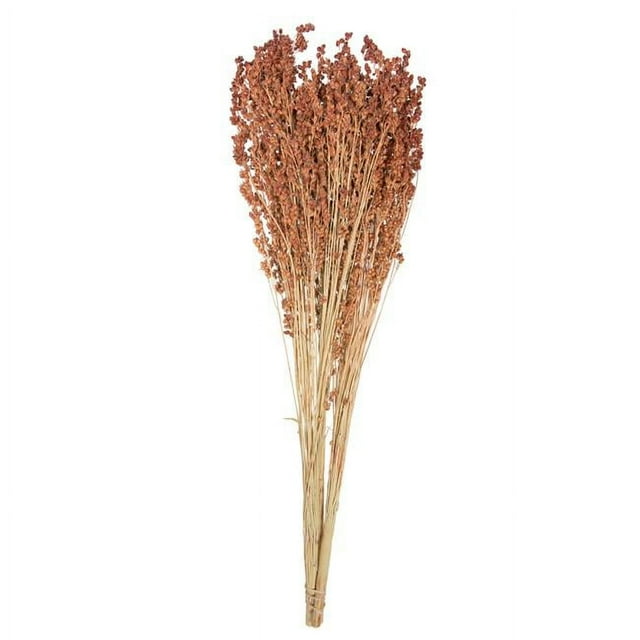 2123 in. 6 oz Natural Dried Broom Corn Bunch, Brown