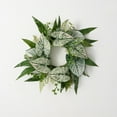 thumbnail image 1 of 21.25"H Sullivans Caladium Eucalyptus Ring, Green, 1 of 4